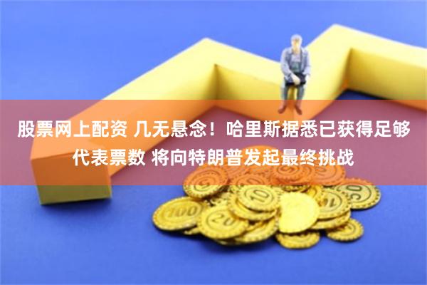 股票网上配资 几无悬念！哈里斯据悉已获得足够代表票数 将向特朗普发起最终挑战