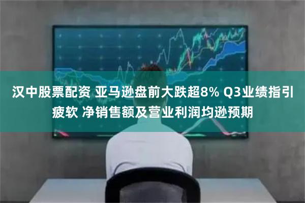 汉中股票配资 亚马逊盘前大跌超8% Q3业绩指引疲软 净销售额及营业利润均逊预期