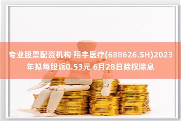 专业股票配资机构 翔宇医疗(688626.SH)2023年拟每股派0.53元 6月28日除权除息