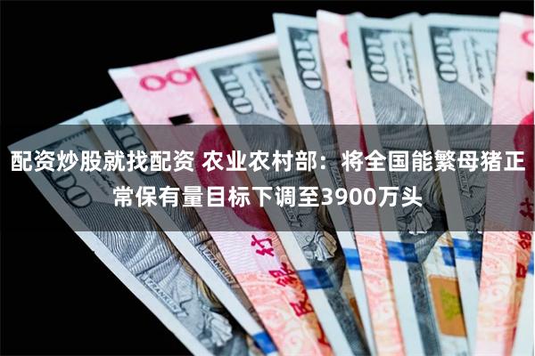 配资炒股就找配资 农业农村部：将全国能繁母猪正常保有量目标下调至3900万头